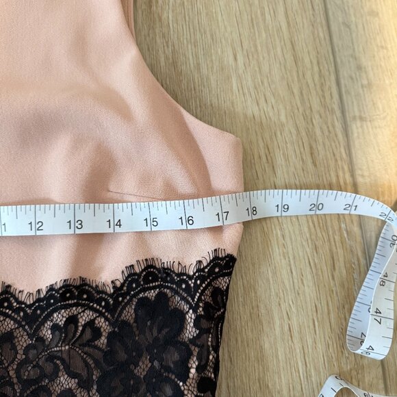 β¨ The Limited Blush Pink Sheath Dress with Black Lace β¨ - Picture 3 of 5